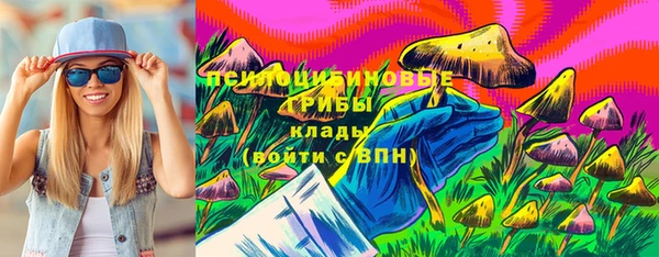 ECSTASY Богородск