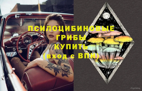 ECSTASY Богородск