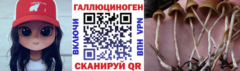 Галлюциногенные грибы прущие грибы  дарнет шоп  Вельск 