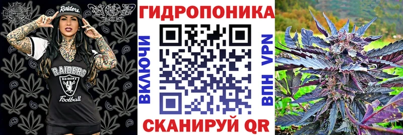 Марихуана сатива  Вельск 